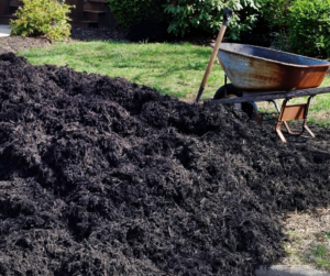 DIY Mulch Landscaping Projects