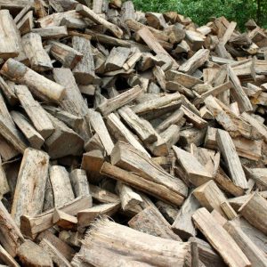 Firewood