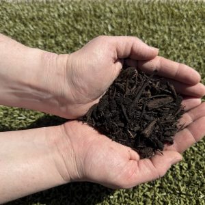 earthlife