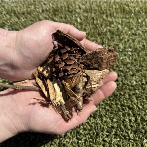 woodchips