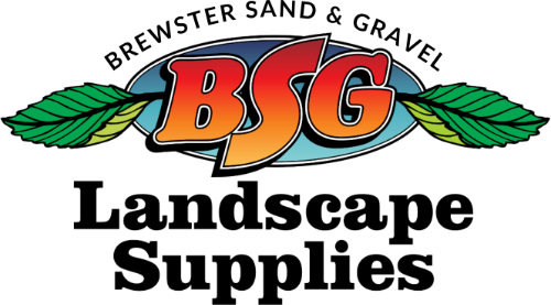 BSG-Logo-500